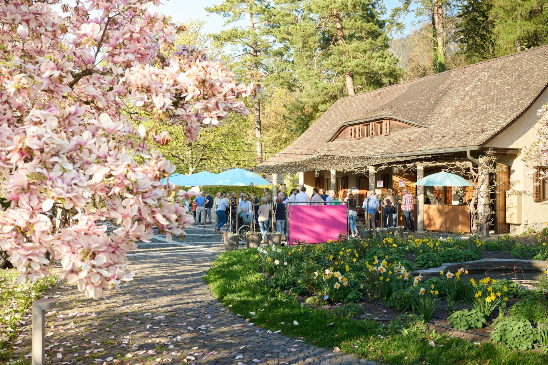 zam_20260409_bluetenzauber_58104 1 low.jpg